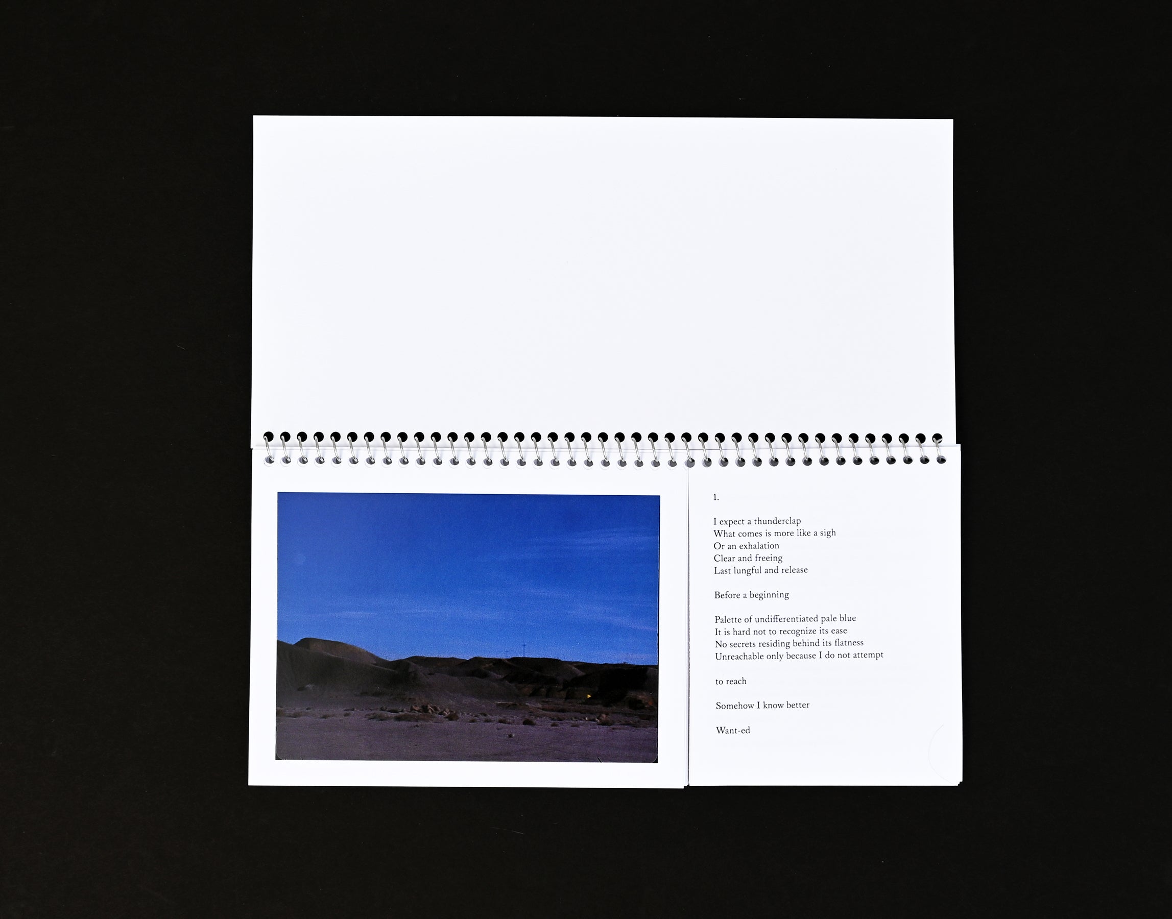 Alice Wang & Todd Meyers: Untitled