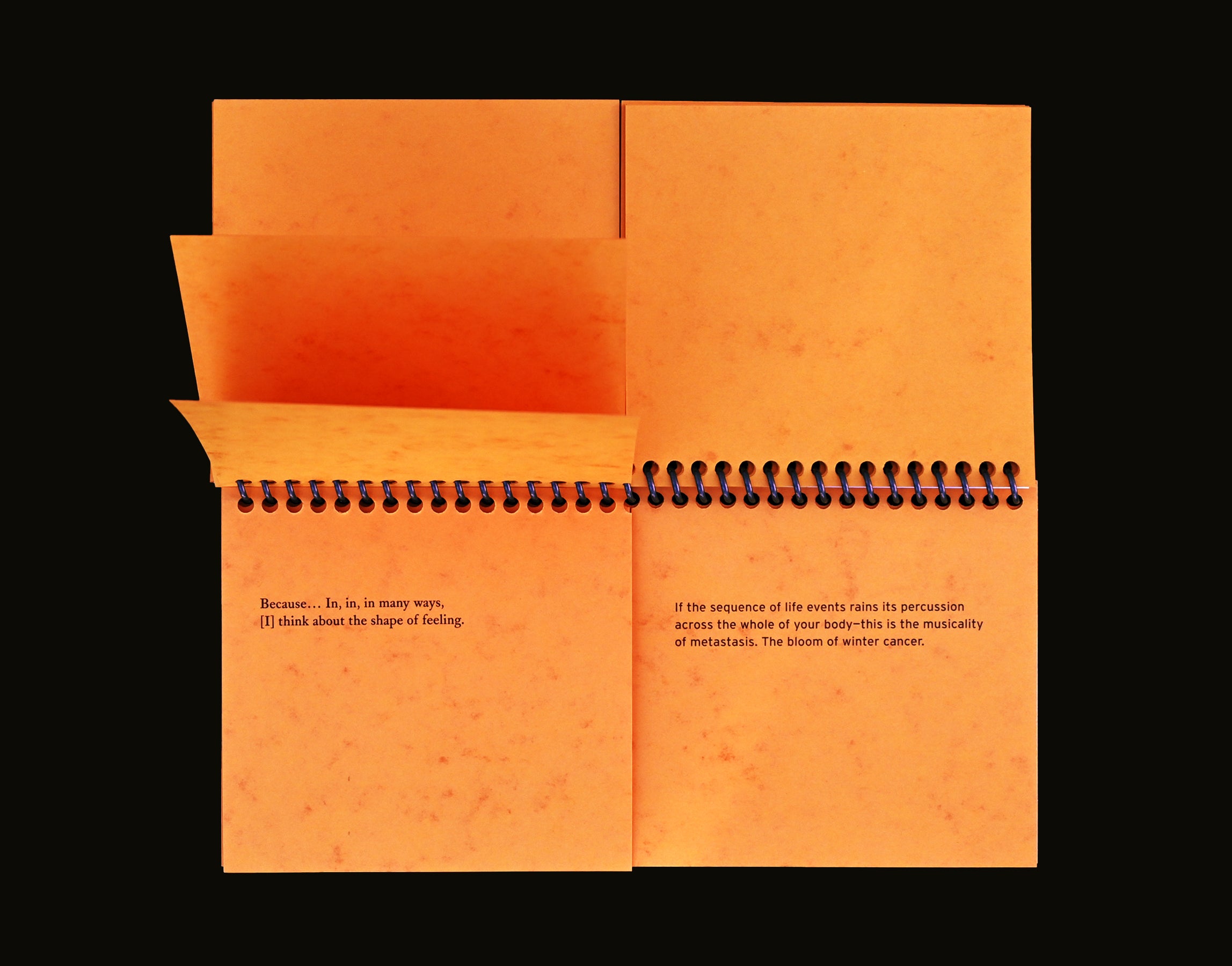 Indira Allegra: Dispersal of a Feeling & Tension Studies