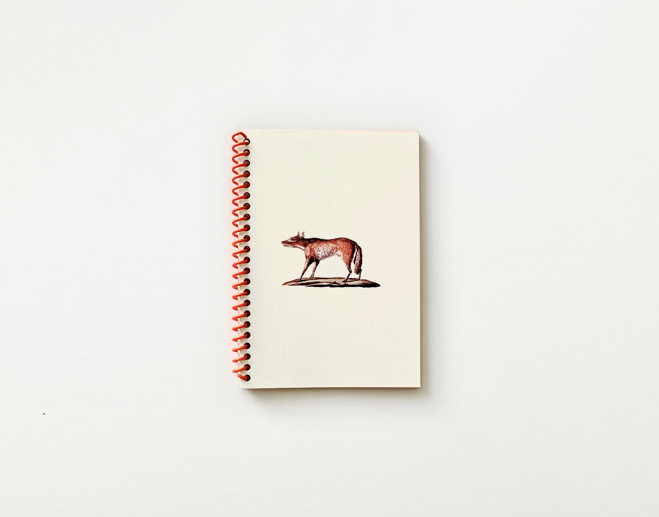 Helen Shewolfe Tseng: Wild Canids