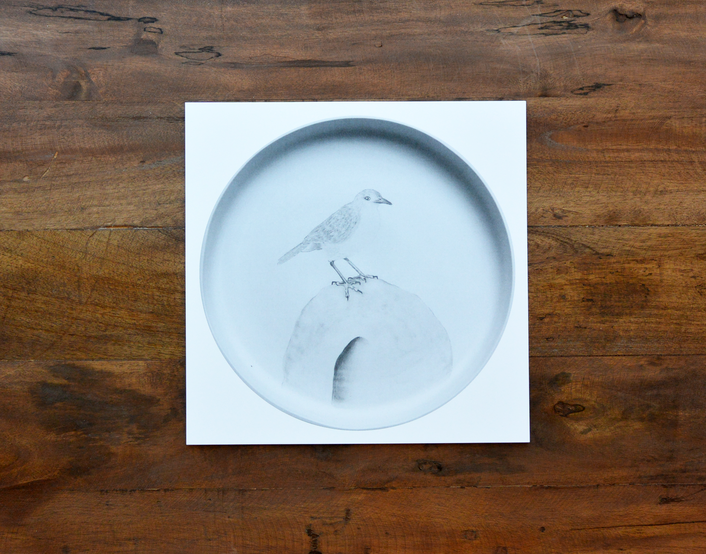 Jimena Sarno + Axel Krygier: taracatá trabaja