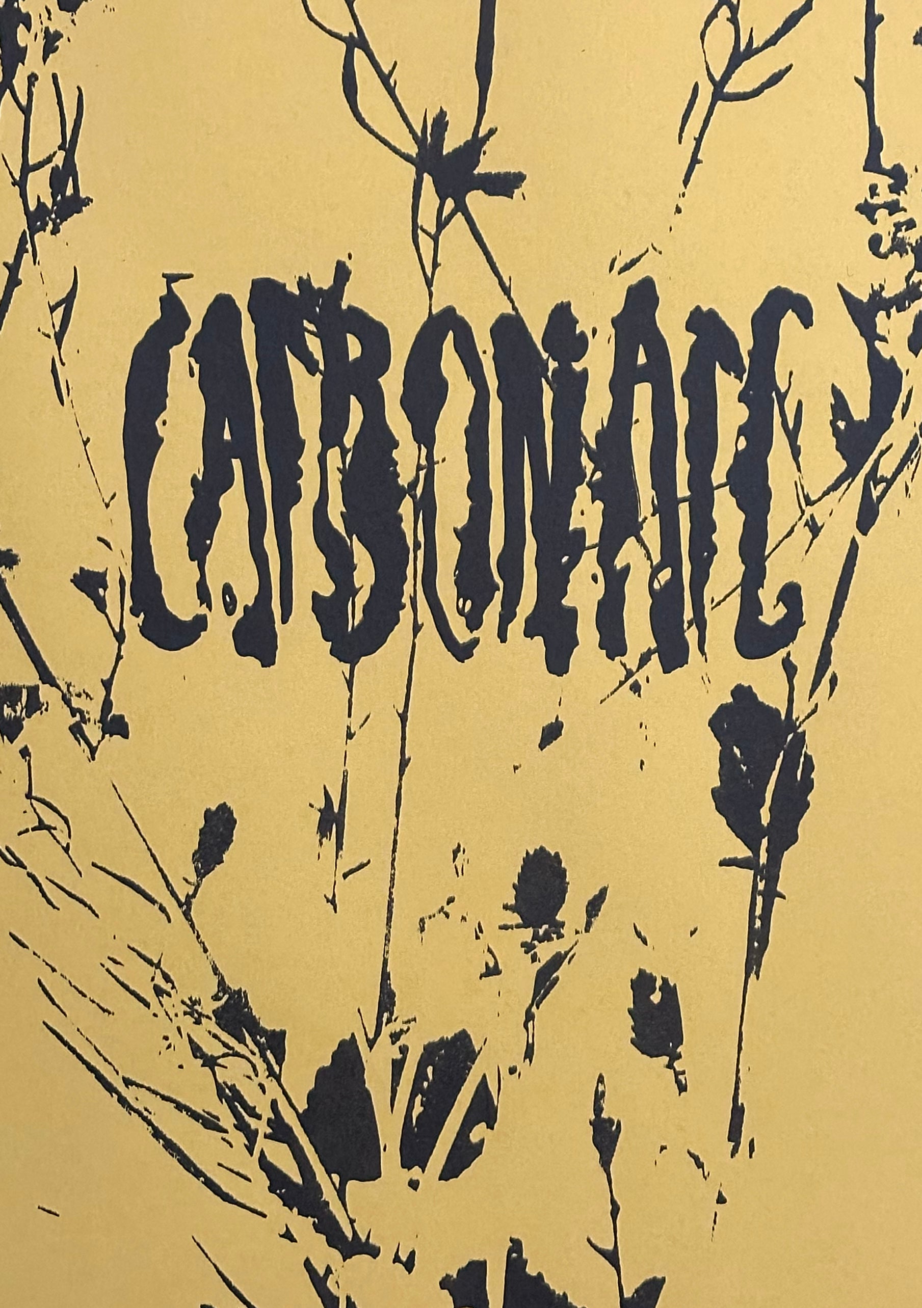 Perry Doane: Carbonarc