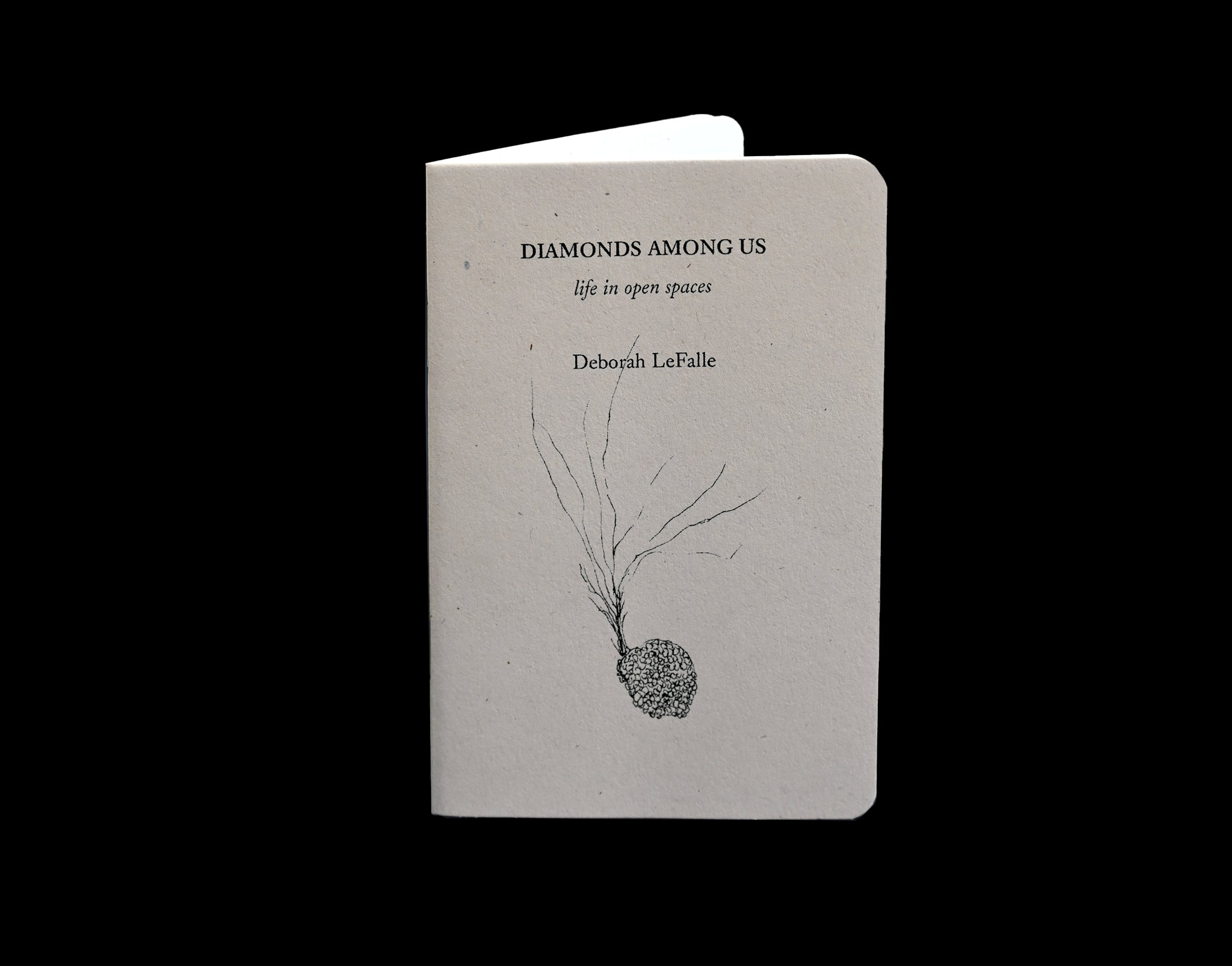 Deborah LeFalle: Diamonds Among Us