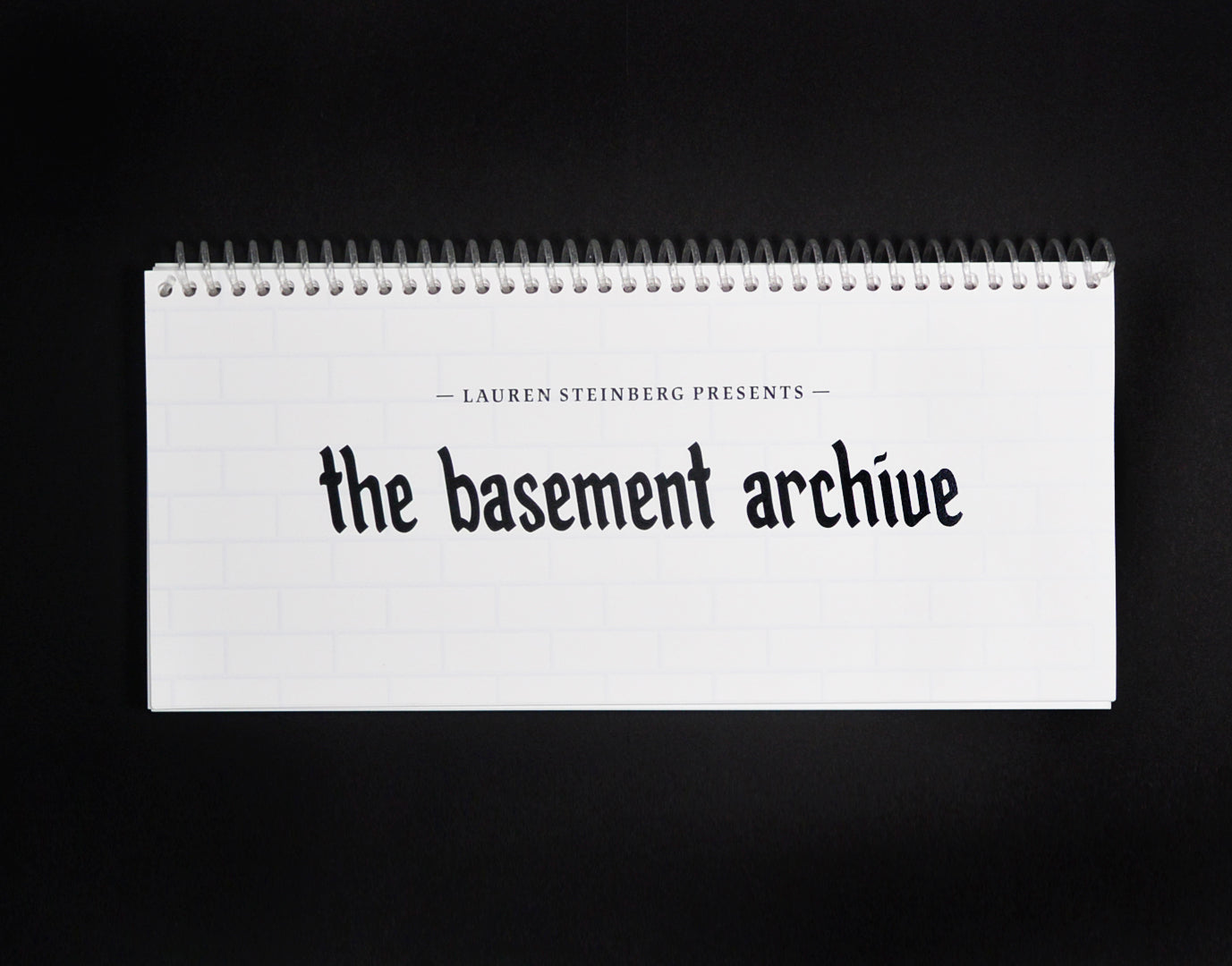 Lauren Steinberg: The Basement Archive
