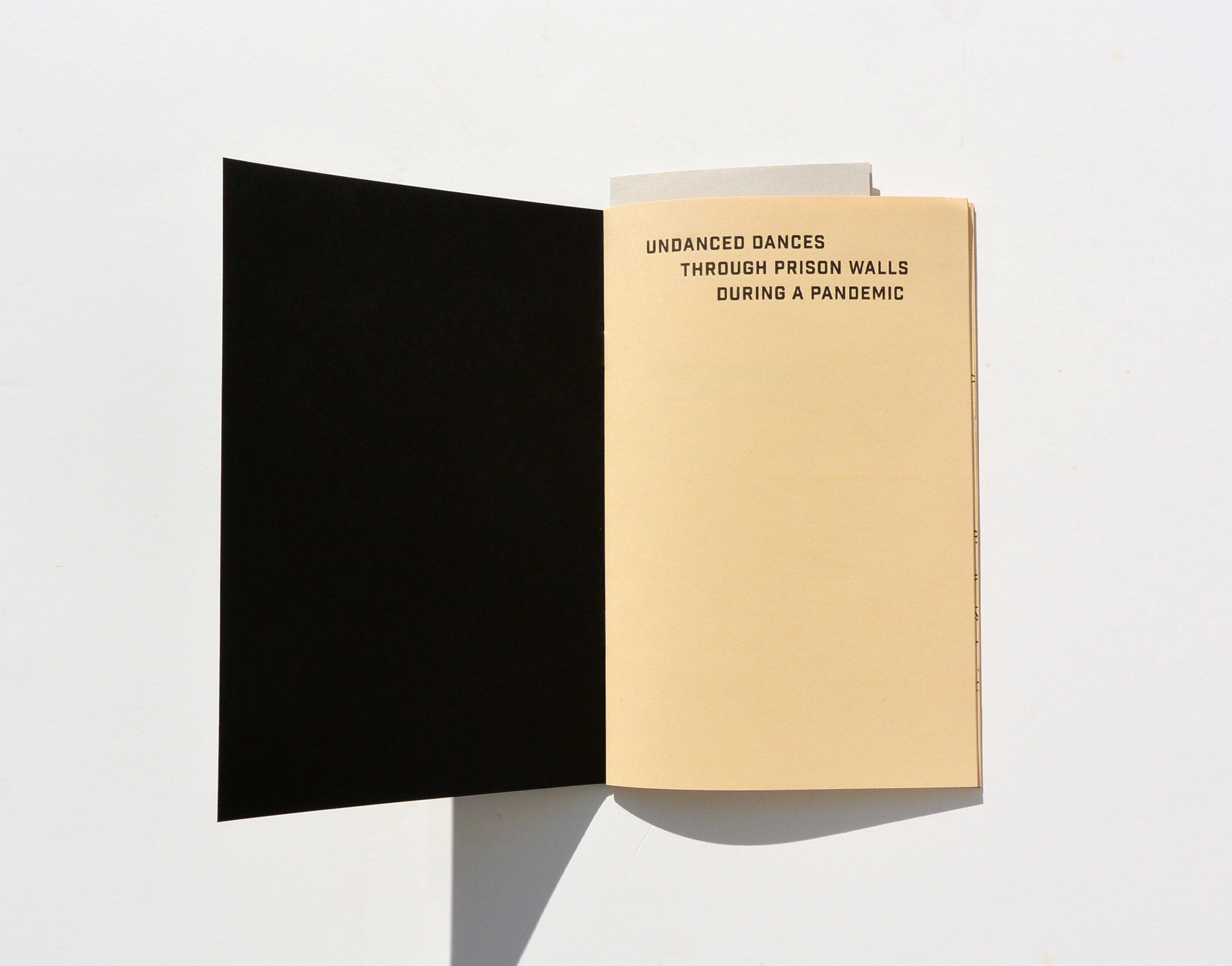 Undanced Dances Through Prison Walls During a Pandemic (2nd Edition)