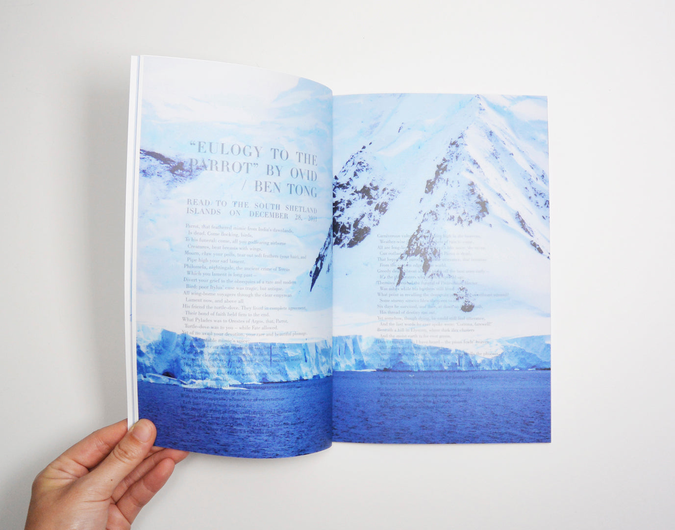 Love Songs for Antarctica